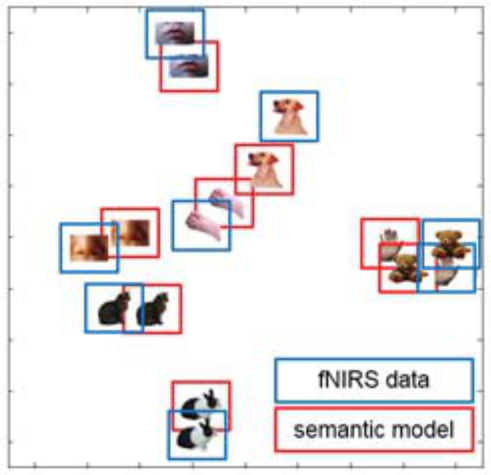 MDS plot of semantic model and fNIRS data